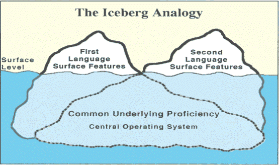 the_iceberg_analogy_reference