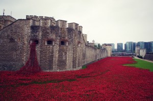 poppy installation London Tower 1