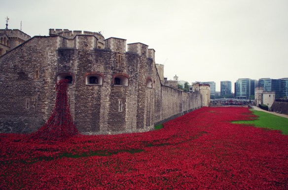 poppy installation London Tower 1